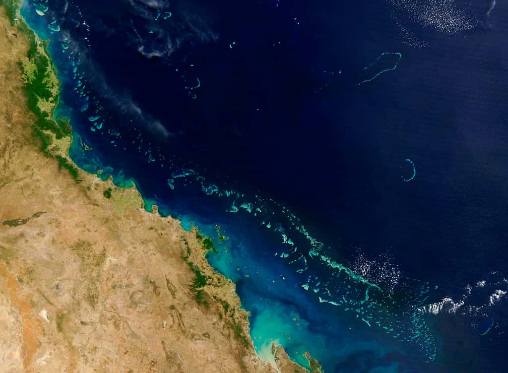 La Grande Barrière de corail s'allonge sur plus de deux mille kilomètres. Cet ensemble de récifs coralliens est un lieu de biodiversité unique au monde. © HO, Nasa, AFP