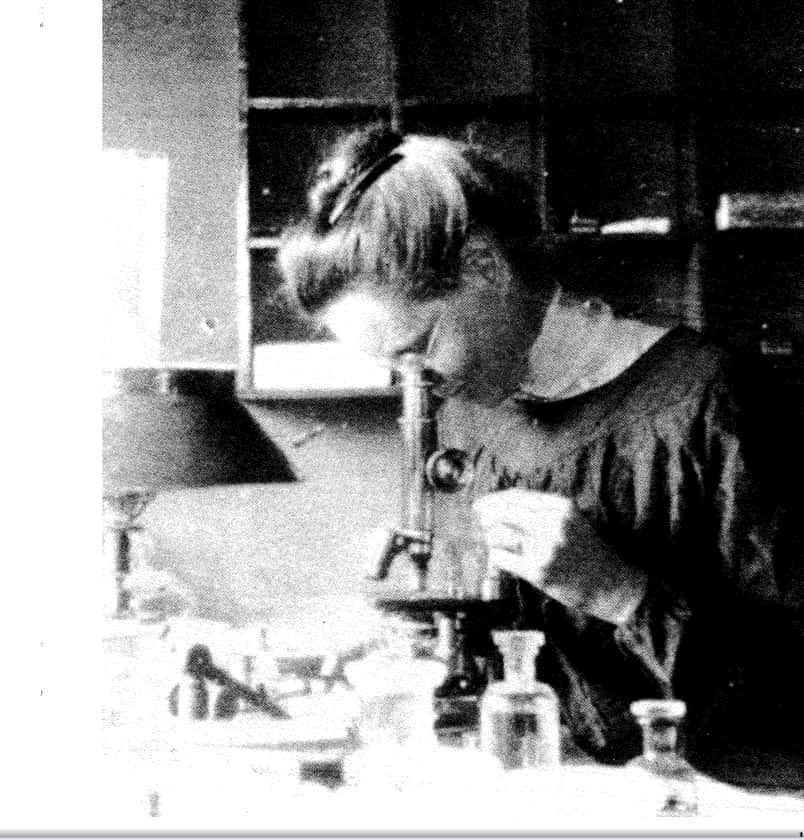 Nettie Stevens, cytologiste, au travail (date inconnue). © Université de Stanford