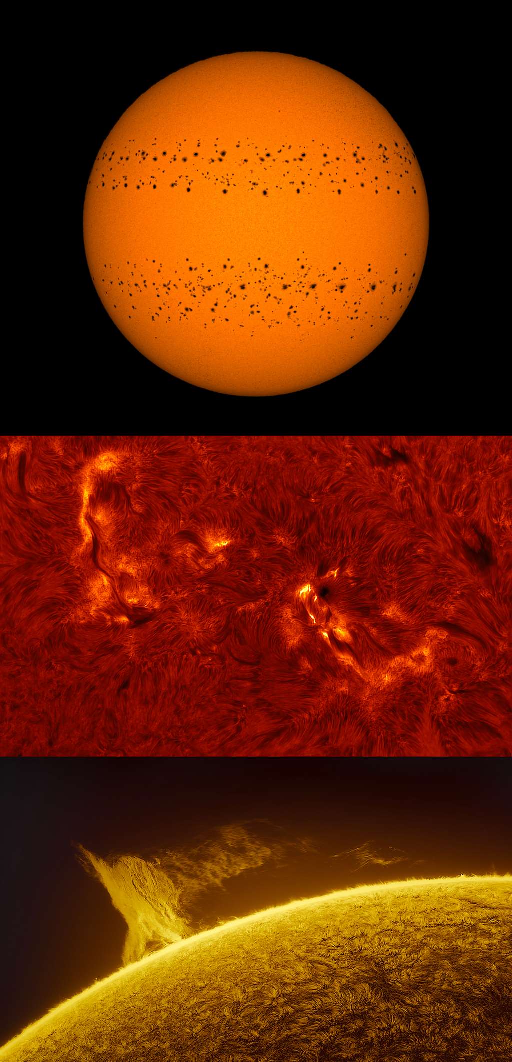 Ces trois images ont été primées dans la catégorie « Soleil ». L’image du haut montre un composite du Soleil. Soumyadeep Mukherjee a pris des images du Soleil pendant 365 jours entre le 25 décembre 2020 et le 31 décembre 2021 (il n'a manqué que six jours pendant cette période). Il a ensuite composé ce cliché montrant ces deux bandes de taches solaires.<br>L'image du milieu, signée Stuart Green, montre une région active du Soleil vu dans d'une étroite bande rouge connue sous le nom de H-alphaline. <br>Quant à l’image du bas, prise par Miguel Claro, elle montre une gigantesque proéminence solaire (visible pendant deux jours en février 2022) apparaître au-dessus de la chromosphère. 
