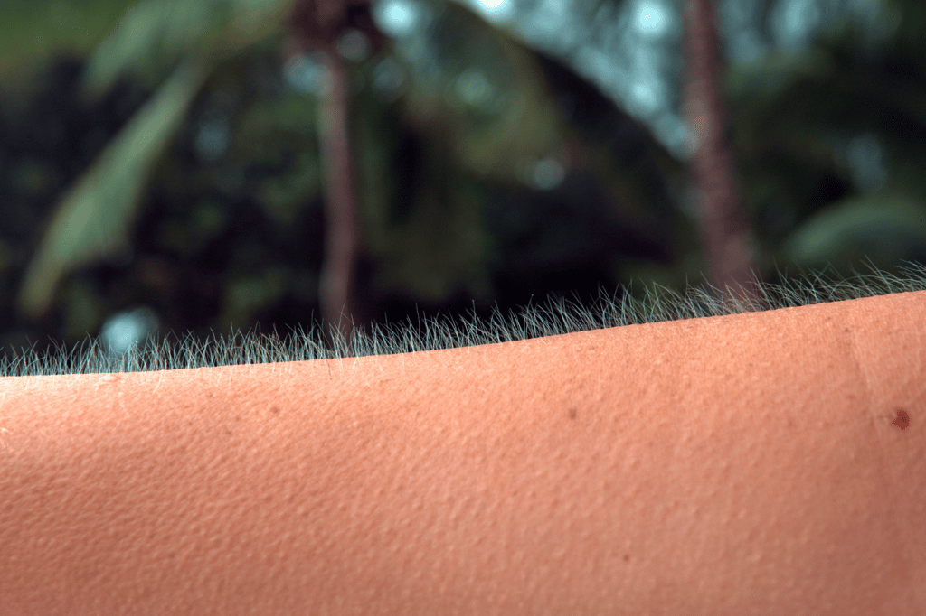 Avoir la chair de poule est-il le témoignage d'un lointain instinct de survie que nos ancêtres nous auraient légué ? © helivideo, iStock