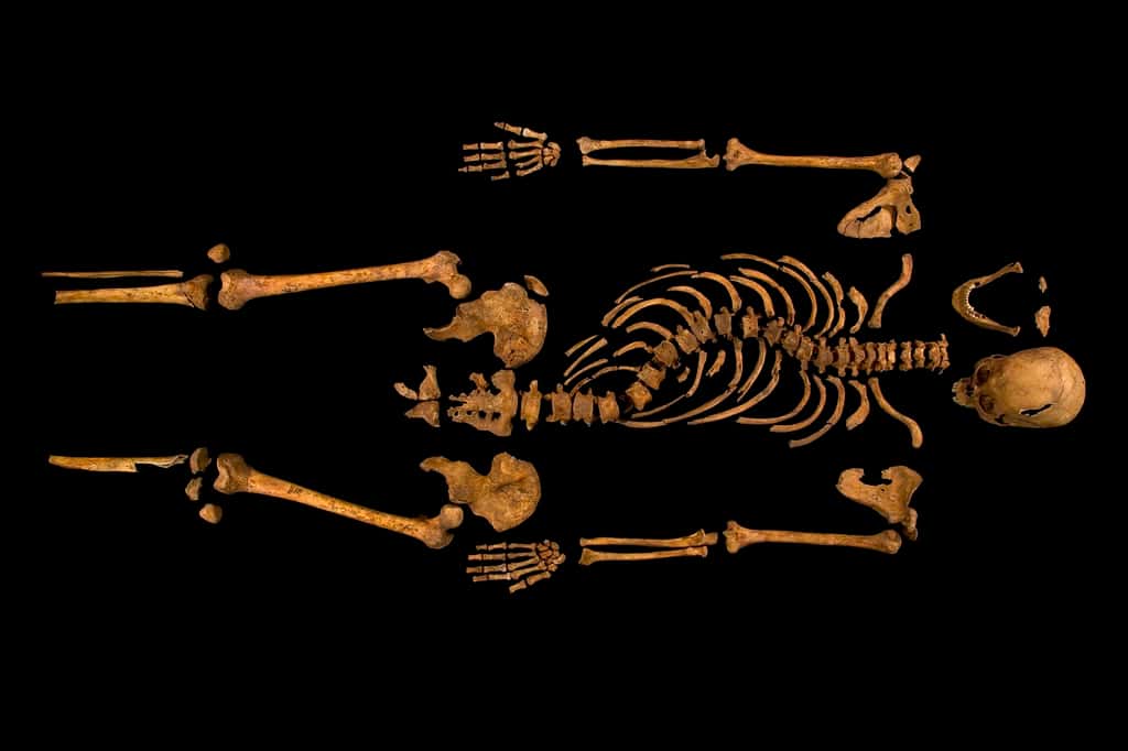 Le squelette de Richard III, ici en photographie, montre qu’il souffrait de scoliose. © <em>University of Leicester</em>