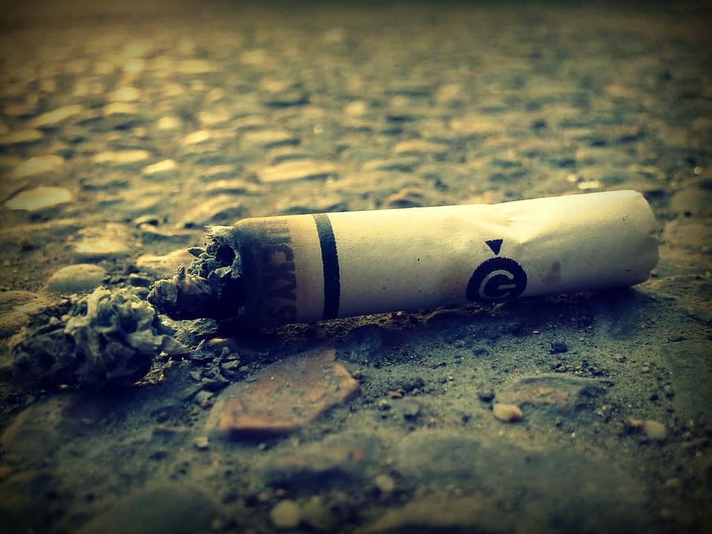 Les filtres de cigarettes sont l'une des causes principales de pollution aux plastiques dans les océans. © Alexis, Pixabay