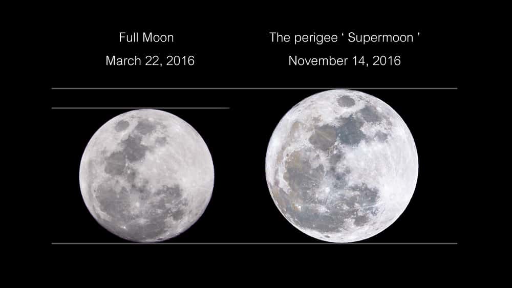 Comparaison de la micro Lune de mars 2016 avec la super Lune de novembre 2016, la plus importante depuis 68 ans. © Aun Photographer, shutterstock