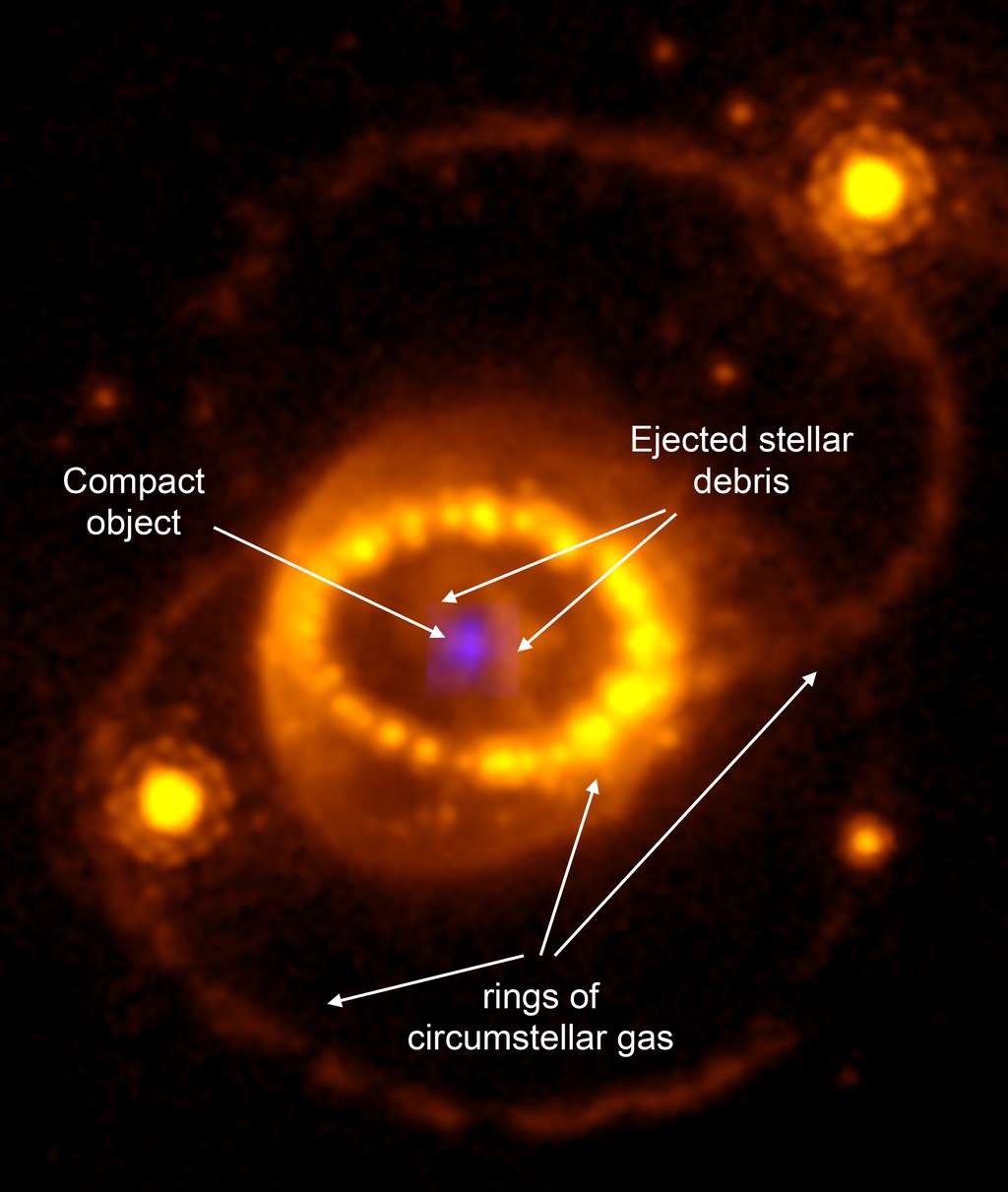 Combinaison d'une image du télescope spatial Hubble de SN 1987A et de celle du télescope James-Webb montrant une source d'argon compacte bleu pâle au centre détectée avec l’instrument JWST/NIRSpec. À l’extérieur se trouvent les débris stellaires, contenant la majeure partie de la masse, qui s’étendent à des milliers de kilomètres/seconde. Le « collier de perles » brillant intérieur est le gaz des couches externes de l’étoile qui a été expulsé environ 20 000 ans avant l’explosion finale. On explique les points lumineux par des débris rapides entrant maintenant en collision avec cet anneau. À l’extérieur de l'anneau intérieure se trouvent deux anneaux extérieurs, vraisemblablement produits par le même processus que celui utilisé pour former l'anneau intérieur. Les étoiles brillantes à gauche et à droite de l’anneau intérieur n’ont aucun rapport avec la supernova. © Télescope spatial Hubble WFPC-3/télescope spatial James Webb NIRSpec/J. Larsson