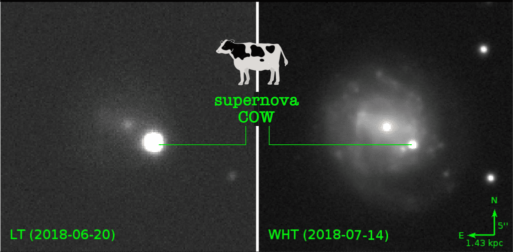 Supernova AT 2018cow, surnommée la Vache en anglais. À gauche, suite à son explosion, The Cow a atteint son pic de luminosité le 20 juin 2018, étant beaucoup plus lumineux que le centre de la galaxie en haut à gauche. À droite, le 14 juillet 2018, The Cow était devenue moins brillante, seulement 1 % de la luminosité de la galaxie. © Daniel Perley <em>(Liverpool J. M. University)</em>, Kavli IPMU)