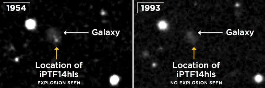 Cette photo d'archive montre qu'une supernova s'était déjà produite il y a soixante ans environ, à l'endroit même où iPTF14hls a été observée sur la voûte céleste. © S. Wilkinson, POSS, DSS, LCO