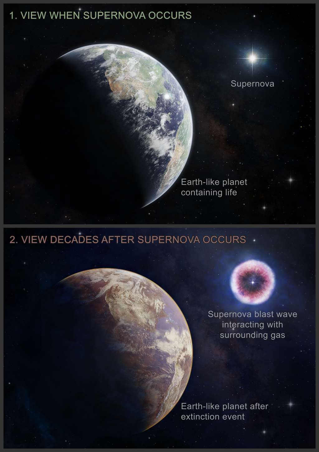 En haut, une vue d'artiste d'une supernova débutant à moins de 160 années-lumière d'une exoterre. En bas, le rayonnement produit en X des dizaines d'années durant par l'onde de choc dans le milieu interstellaire, cause des extinctions à la surface de l'exoterre. © Nasa, CXC, M. Weiss