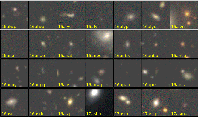 Animation montrant quelques-unes des 1.824 supernovae avant et pendant l'explosion. Comme des phares allumés à travers l'espace et le temps, les supernovae, parce qu'elles sont si lumineuses et sont visibles depuis les régions les plus éloignées de l'univers (leur rayonnement nous vient donc d'un lointain passé), permettent de calculer l'expansion de l'univers et d'étudier les étoiles nées à des époques très reculées. © Michitaro Koike, <em>data supplied by Naoki Yasuda et a</em>l.