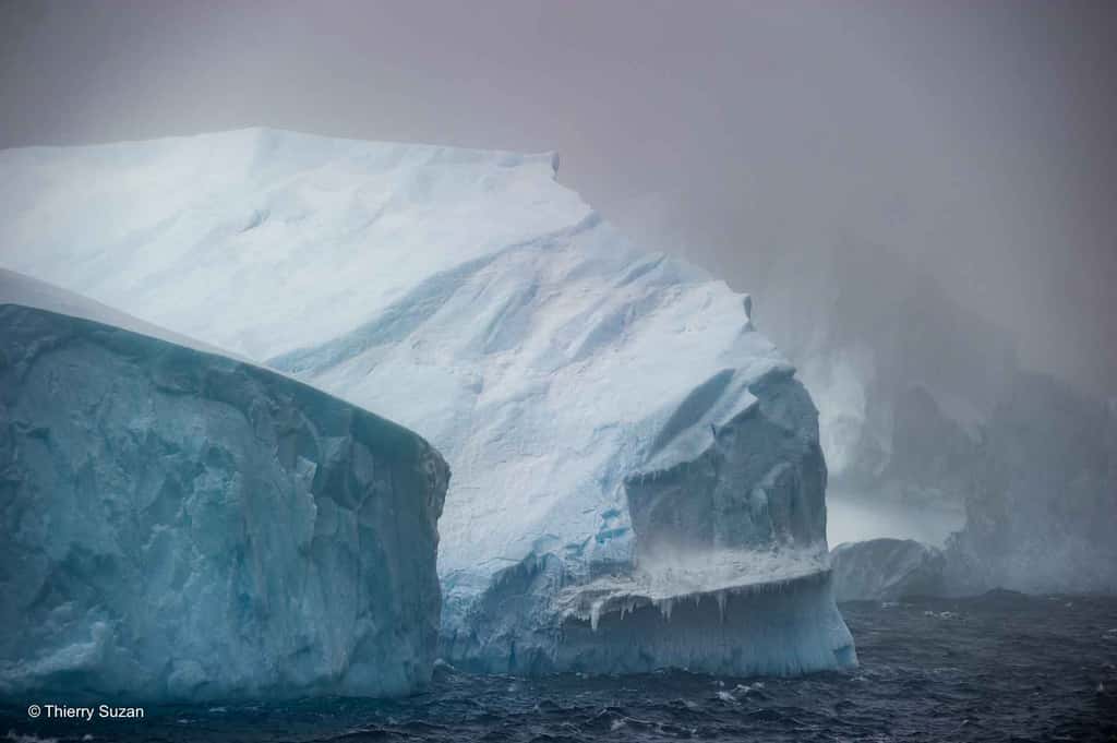 Les icebergs fantomatiques de la mer de Weddell émergent comme des silhouettes éthérées dans la brume polaire, offrant un spectacle à la fois mystérieux et envoûtant au coeur de l’Antarctique. Mer de Weddell © Thierry Suzan – Tous droits réservés