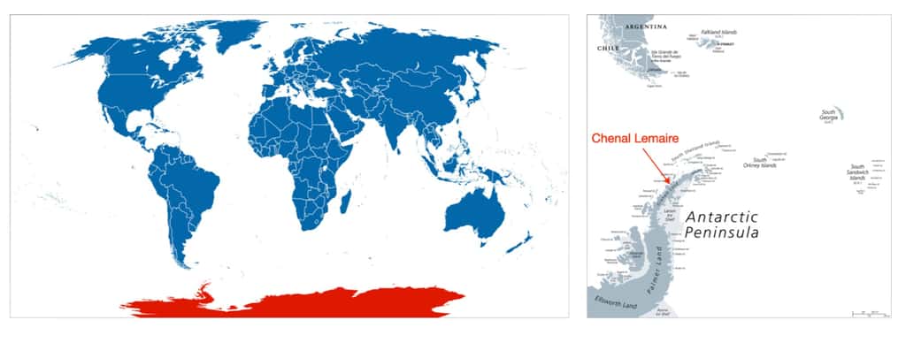 Carte du monde et carte péninsule Antarctique © Peter Hermes Furian, Adobe stock