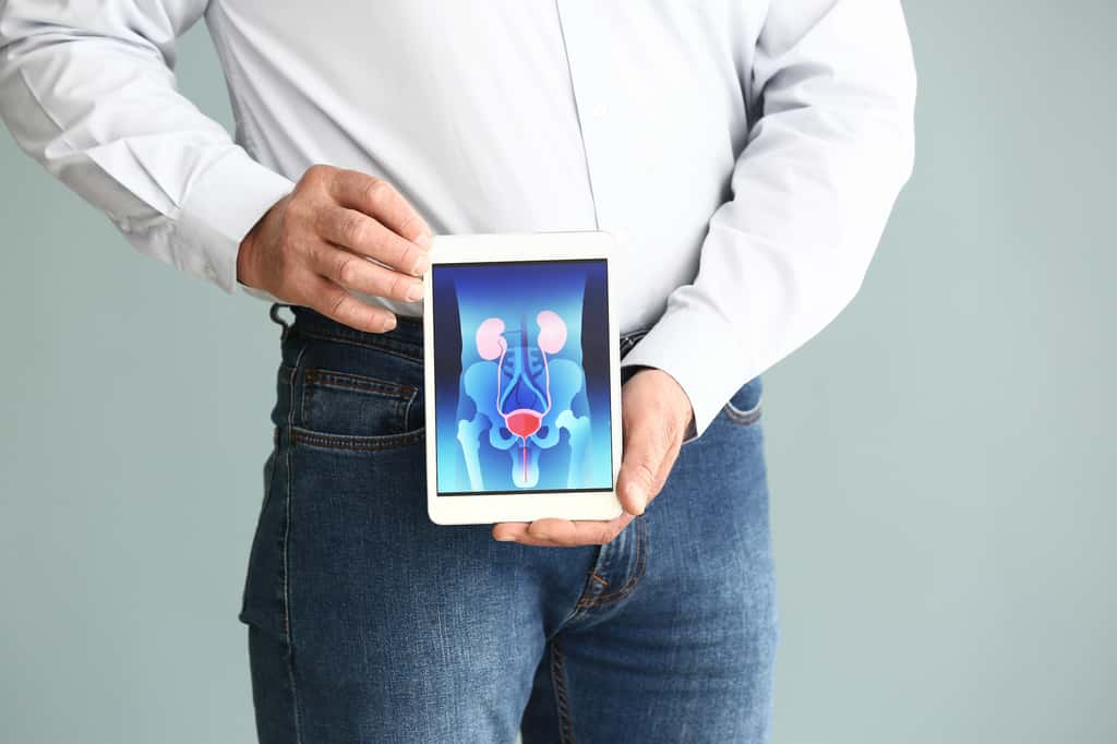 Quelles solutions pour préserver la bonne santé de sa prostate ? © Pixel-Shot, Adobe Stock