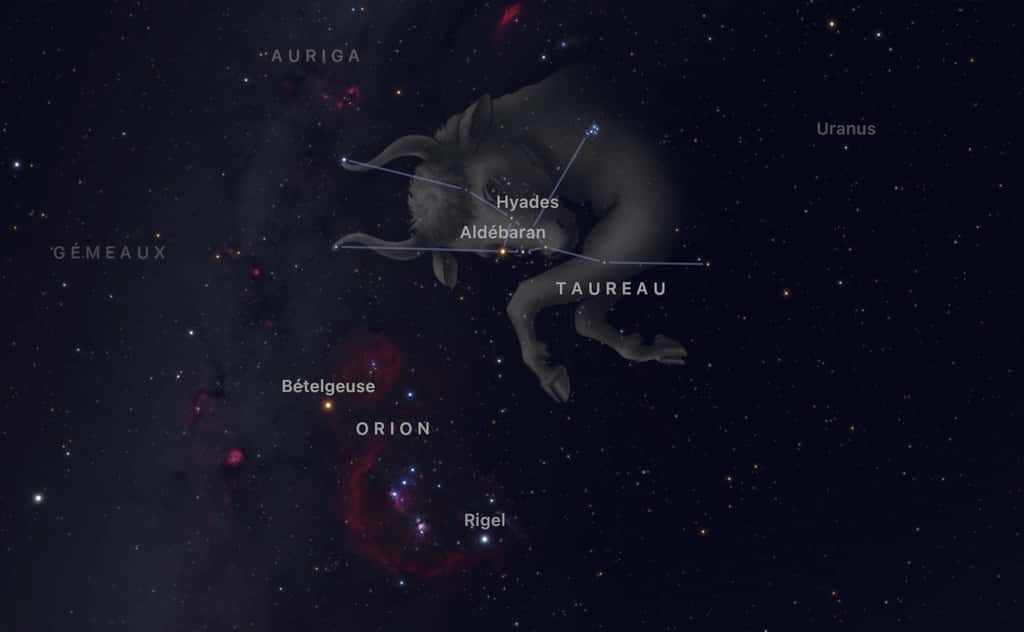 Le radiant de la pluie d'étoiles filantes des Taurides nord se situe dans le Taureau,juste à côté du bel amas d'étoiles des Pléiades. © SkyGuide