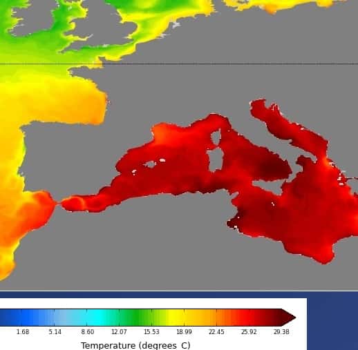 Le niveau des températures autour de la France le 17 juillet : en rouge, les températures très élevées de la Méditerranée. © Mercator Ocean