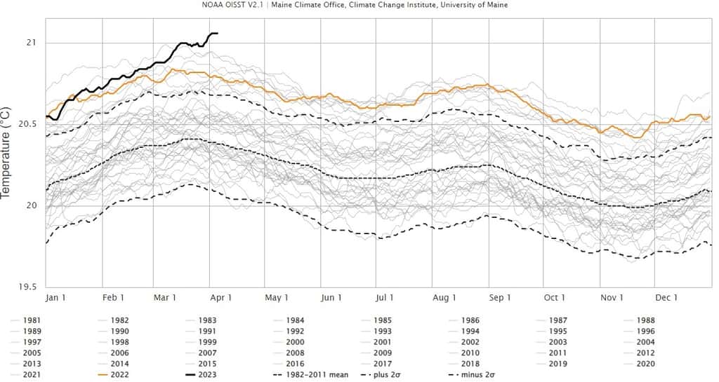 En noir tout en haut, la courbe de la température des océans 2023, en orange celle de 2022. © Climate Reanalyzer