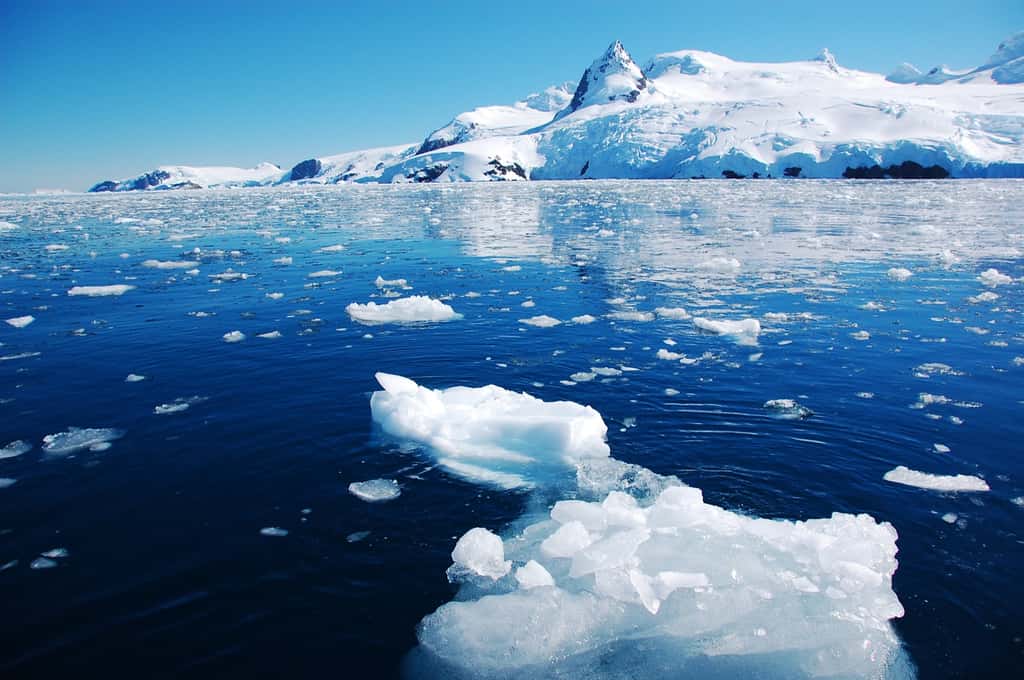 L'Antarctique a enregistré une température record de plus de 20°C. © nyankotoasobu, Adobe Stock