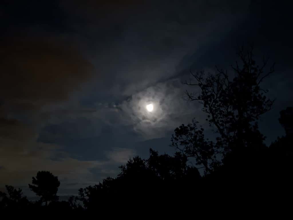 Photo prise en pleine nuit avec le mode nocturne du Pixel 4a. © Marc Zaffagni