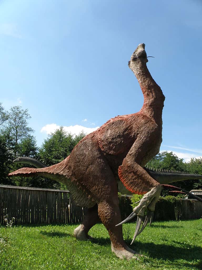 Le <em>Therizinosaurus</em>, qui vivait à la fin du Crétacé, avait une allure bien étrange… © Alina Zienowicz, Wikipédia, cc by sa 3.0