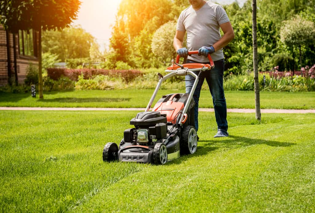 Les meilleures offres de tondeuses à gazon sont à saisir lors du Prime Day Amazon © romaset, Adobe Stock