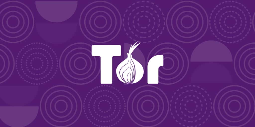 Tor est à l'origine un projet sous la houlette de la marine américaine, il est aujourd'hui une organisation à but non-lucratif. © Tor Project