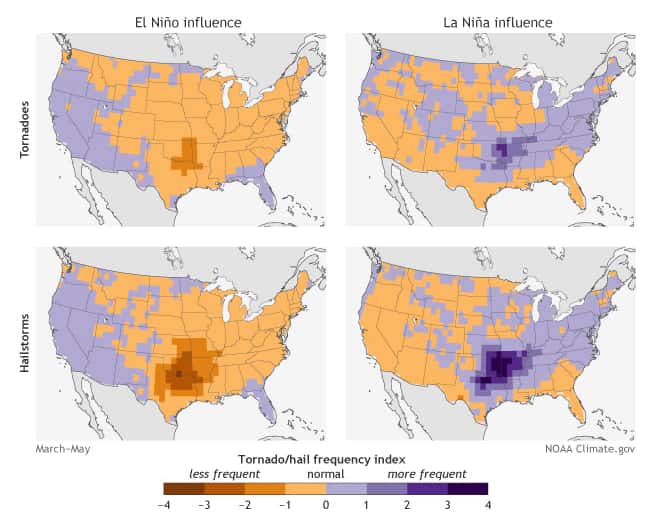 En haut, la différence du nombre de tornades lors d'une phase El Niño et La Niña : en bleu, davantage de tornades ; en marron, moins. Même concept pour les cartes du bas représentant le risque de grêle. © Climate.gov