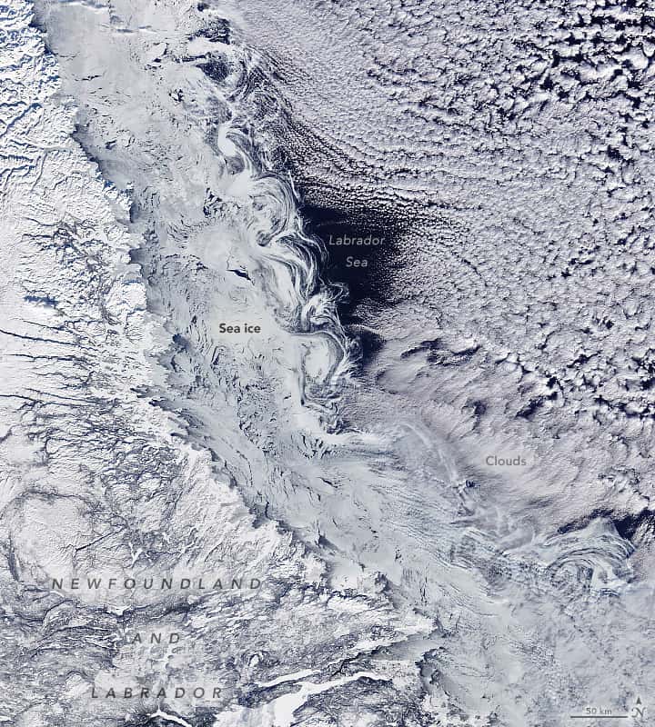 Les tourbillons de glace situées dans la mer du Labrador s'étalent sur environ 400 km. © NASA