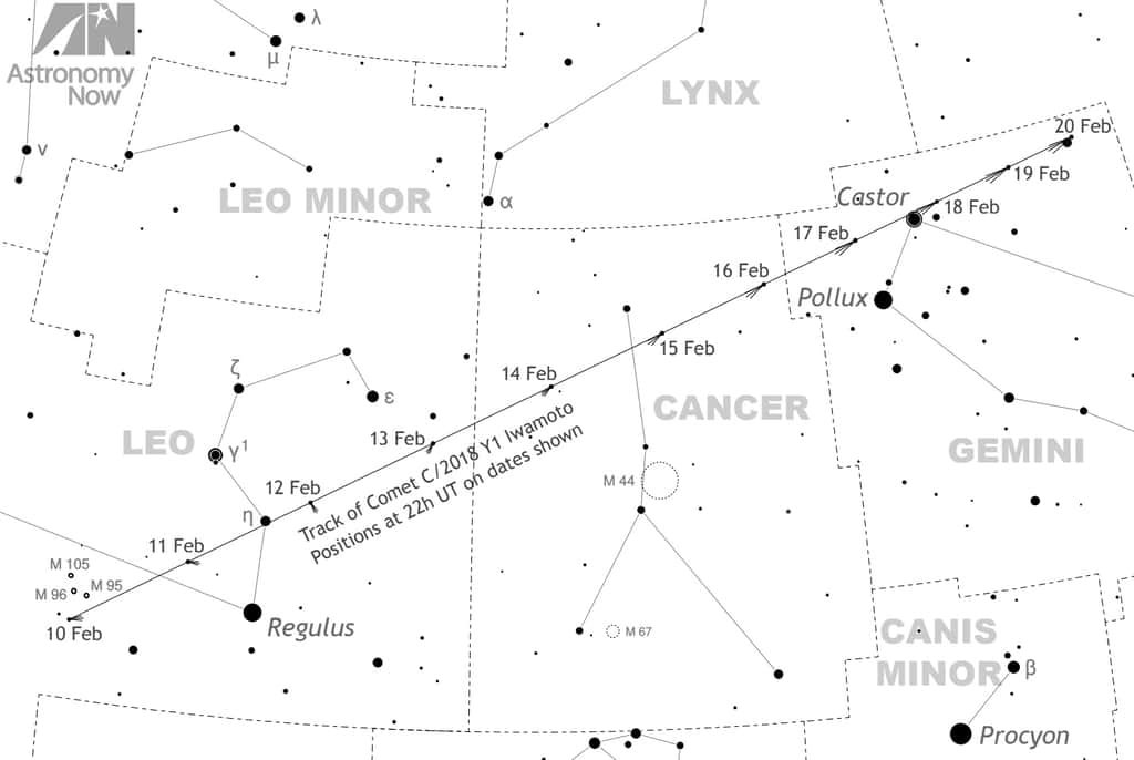 Le 13 février, la comète sera visible devant la tête du Lion. Elle atteindra les Gémeaux, ce week-end. © Astronomy Now