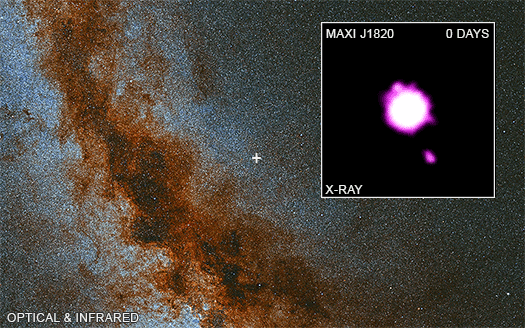 En arrière plan, on voit une image obtenue dans le visible et l'infrarouge de la galaxie de la Voie lactée prise avec le télescope PanSTARRS à Hawaï. L'emplacement de MAXI J1820 + 070 est indiqué au-dessus du plan de la galaxie par une croix. L'encart montre un film qui fait défiler les quatre observations de Chandra, où « jour 0 » correspond à la première observation le 13 novembre 2018, environ quatre mois après le lancement d'un jet de matière. MAXI J1820 + 070 est la source de rayons X brillante au milieu de l'image et des sources de rayons X peuvent être vues s'éloigner du trou noir avec en haut un jet vers le nord et en bas un autre vers le sud. MAXI J1820 + 070 est normalement une source ponctuelle de rayons X, mais elle semble être plus grande qu'une source ponctuelle car elle est beaucoup plus lumineuses que les sources dans les jets. Le jet sud est trop faible pour être détecté dans les observations de mai et juin 2019. © rayons X NASA / CXC / Université de Paris / M. Espinasse et al. ; visible / infrarouge : PanSTARRS