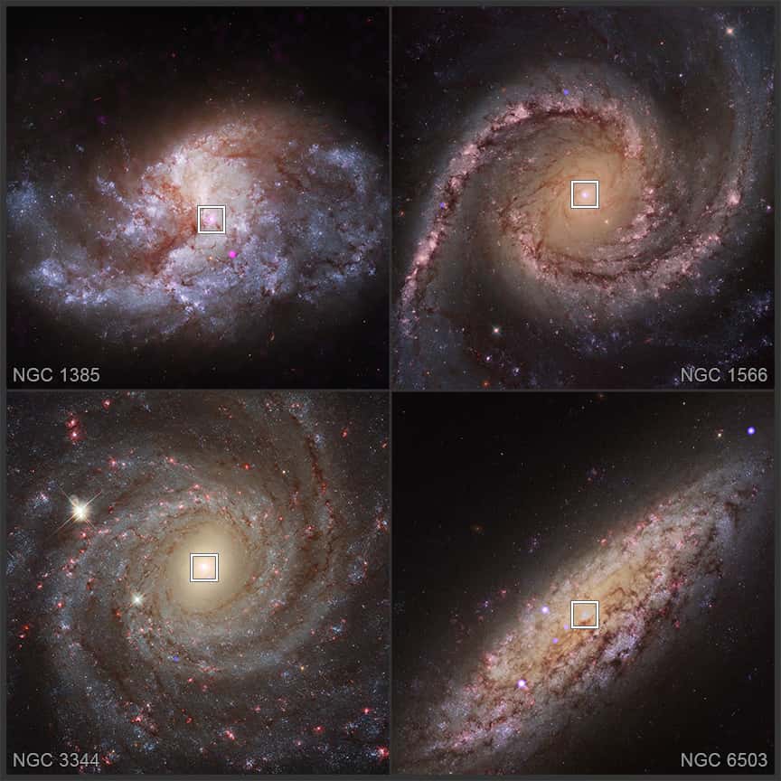 Images dans le domaine X et dans le visible de NGC 1385, NGC 1566, NGC 3344 et NGC 6503. Ces quatre galaxies font partie d'une vaste étude de plus de 100 galaxies menée avec Chandra et Hubble. Les carrés indiquent les régions où des trous noirs en croissance dans des amas d'étoiles nucléaires ont été débusqués. © Rayons X : Nasa, CXC, Washington State Univ., V. Baldassare et al. ; visible : Nasa, ESA, STScI