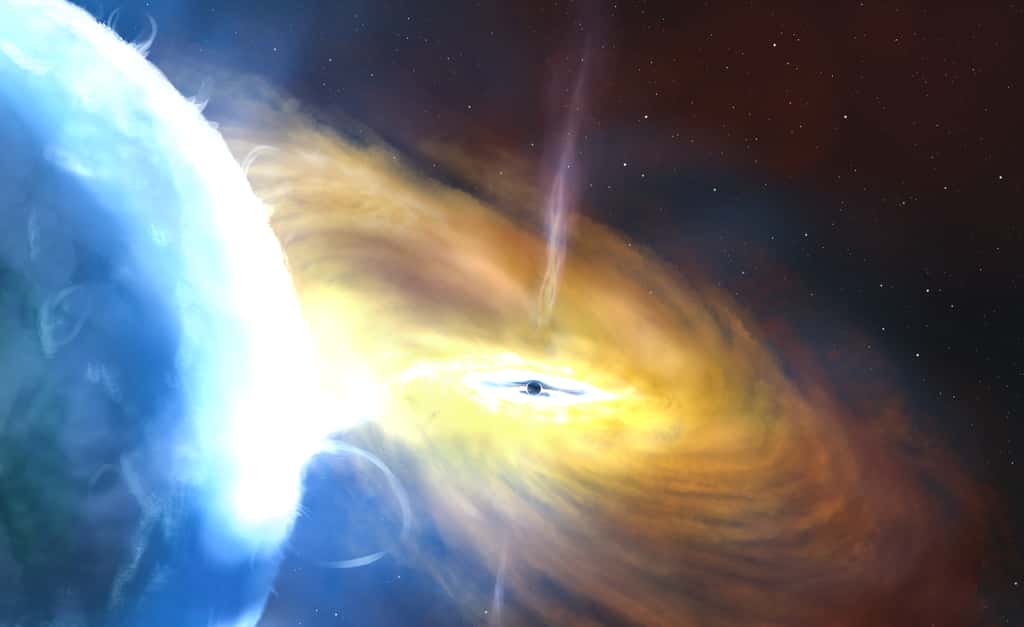 Cette illustration montre le système Cygnus X-1, situé à environ 6 000 années-lumière de la Terre. Le trou noir est représenté au centre et son étoile compagne, à gauche. L'immense gravité du trou noir arrache la matière de l'étoile, formant un disque appelé disque d'accrétion autour du trou noir. © John Paice