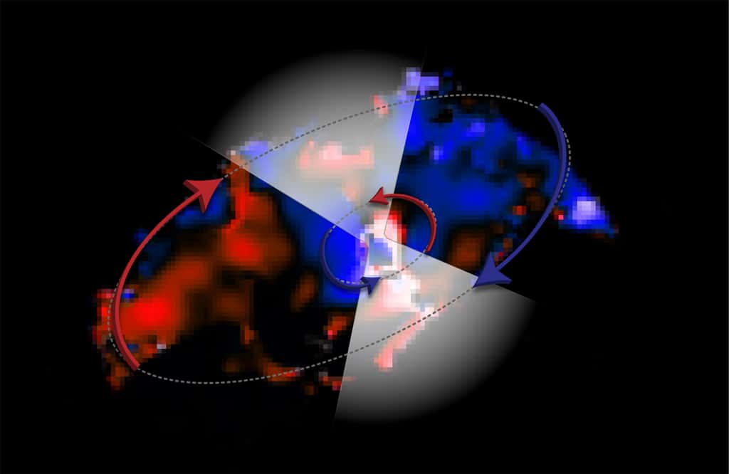 Image Alma montrant deux disques de gaz se déplaçant dans des directions opposées autour du trou noir de la galaxie NGC 1068. Les fausses couleurs de cette image représentent le mouvement du gaz : le bleu est pour la matière qui se déplace vers nous, le rouge celle qui s'éloigne de nous. Les triangles blancs sont ajoutés pour montrer le gaz accéléré qui est expulsé du disque interne autour du trou noir. © Alma (ESO/NAOJ/NRAO), V. Impellizzeri ; NRAO/AUI/NSF, S. Dagnello