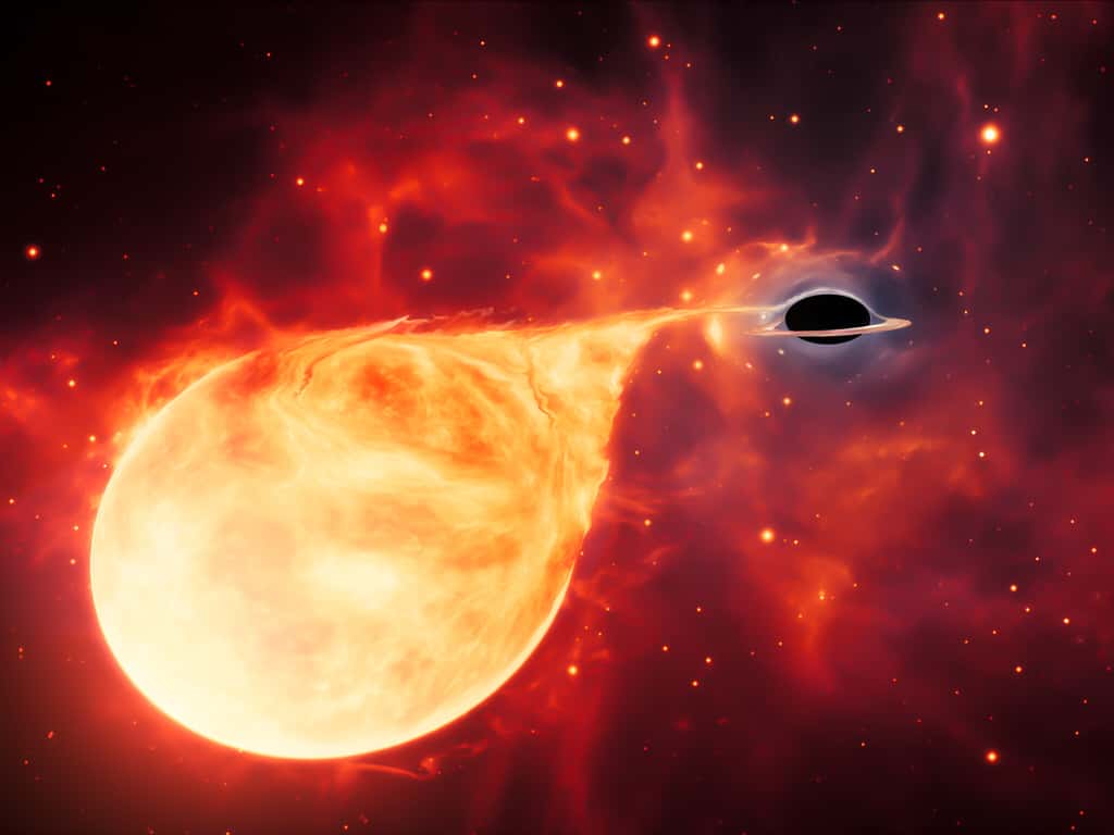 Cette impression d'artiste représente une étoile déchirée par les forces de marée d'un trou noir de masse intermédiaire (IMBH), entouré d'un disque d'accrétion. © ESA, Hubble, M. Kornmesser