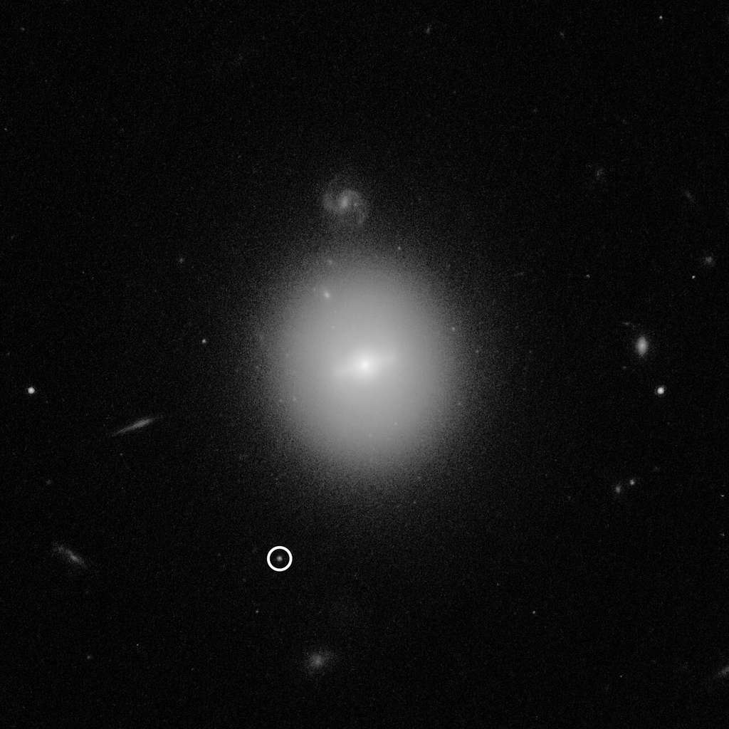 Cette image du télescope spatial Hubble a identifié l'emplacement d'un trou noir de masse intermédiaire, pesant 50.000 fois la masse de notre Soleil (ce qui le rend beaucoup plus petit que les trous noirs supermassifs trouvés au centre des galaxies). Le trou noir, nommé 3XMM J215022.4−055108, est indiqué par le cercle blanc. L'imagerie à haute résolution de Hubble montre que le trou noir se trouve à l'intérieur d'un amas dense d'étoiles bien au-delà de notre Galaxie, la Voie lactée. © Nasa, ESA, and D. Lin (<em>University of New Hampshire</em>)