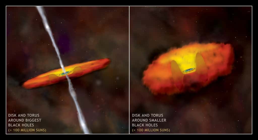 Sur ces deux schémas, on voit la double structure théorique du disque d'accrétion autour d'un trou noir supermassif en fonction de son contenu en masse. Les moins massifs posséderaient un tore épais de gaz et de poussière entourant un disque interne mince. © Nasa/CXC/M.Weiss
