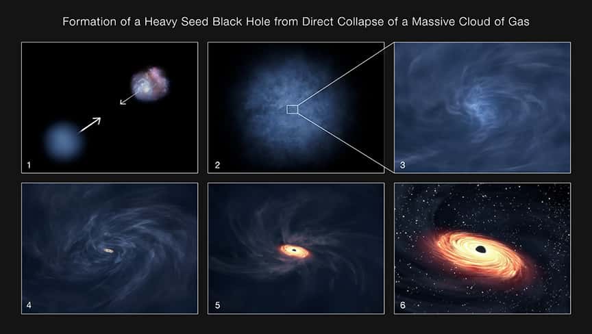 Cet ensemble d'illustrations explique comment un grand trou noir peut se former à partir de l'effondrement direct d'un énorme nuage de gaz quelques centaines de millions d'années après le big bang. Le panneau n° 1 montre un énorme nuage de gaz et une galaxie se rapprochant. Si la formation d’étoiles dans le nuage de gaz est bloquée par le rayonnement de la galaxie entrante – l’empêchant de former une nouvelle galaxie – le gaz peut alors être amené à s’effondrer et à former un disque et un trou noir. Les panneaux n° 2 et n° 3 montrent le début de cet effondrement de gaz au centre du nuage. Un petit trou noir se forme au centre du disque (panneau n° 4) et le trou noir et le disque continuent alors de croître (panneau n° 5). Cette « graine » massive de trou noir et son disque fusionnent ensuite avec la galaxie illustrée dans le panneau n° 1. Pendant un certain temps, le trou noir est inhabituellement massif par rapport à la masse des étoiles de la galaxie, ce qui en fait un trou noir surdimensionné (panneau n° 6). Les étoiles et le gaz de la galaxie sont attirés par le trou noir, ce qui fait grossir encore plus le trou noir et le disque. © Nasa, STScI, Leah Hustak