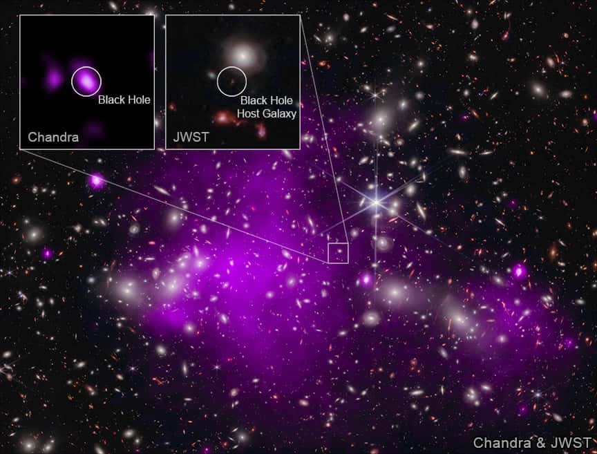 Ces images montrent l'amas de galaxies Abell 2744 derrière lequel se trouve UHZ1, dans les rayons X de Chandra et les données infrarouges de Webb, ainsi que des gros plans de la galaxie hôte du trou noir UHZ1. © Rayon X : NASA/CXC/SAO/Ákos Bogdán ; Infrarouge : NASA/ESA/CSA/STScI ; Traitement d'images : NASA/CXC/SAO/L. Frattare & K. Arcand