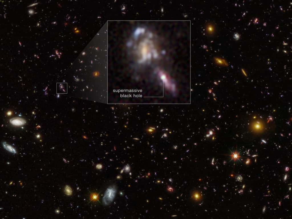 Il s'agit d'une nouvelle image du champ ultra-profond de Hubble. La première imagerie profonde du champ a été réalisée par Hubble en 2004. Le même champ d'observation a été observé à nouveau par Hubble plusieurs années plus tard, puis réimagé en 2023. En comparant les expositions dans le proche infrarouge de la caméra à grand champ 3 de Hubble prises en 2009, 2012 et 2023, les astronomes ont trouvé des preuves de trous noirs supermassifs scintillants au cœur des premières galaxies. Un exemple est visible sous la forme d'un objet brillant dans l'encart. Certains trous noirs supermassifs n'avalent pas constamment la matière environnante, mais par à-coups et par rafales, ce qui fait vaciller leur luminosité. Cela peut être détecté en comparant les images du champ ultra-profond de Hubble prises à différentes époques. L'enquête a trouvé plus de trous noirs que prévu. © Nasa, ESA, Matthew Hayes (Université de Stockholm) ; Remerciements : Steven V.W. Beckwith (UC Berkeley), Garth Illingworth (UC Santa Cruz), Richard Ellis (UCL) ; Traitement d'images : Joseph DePasquale (STScI)