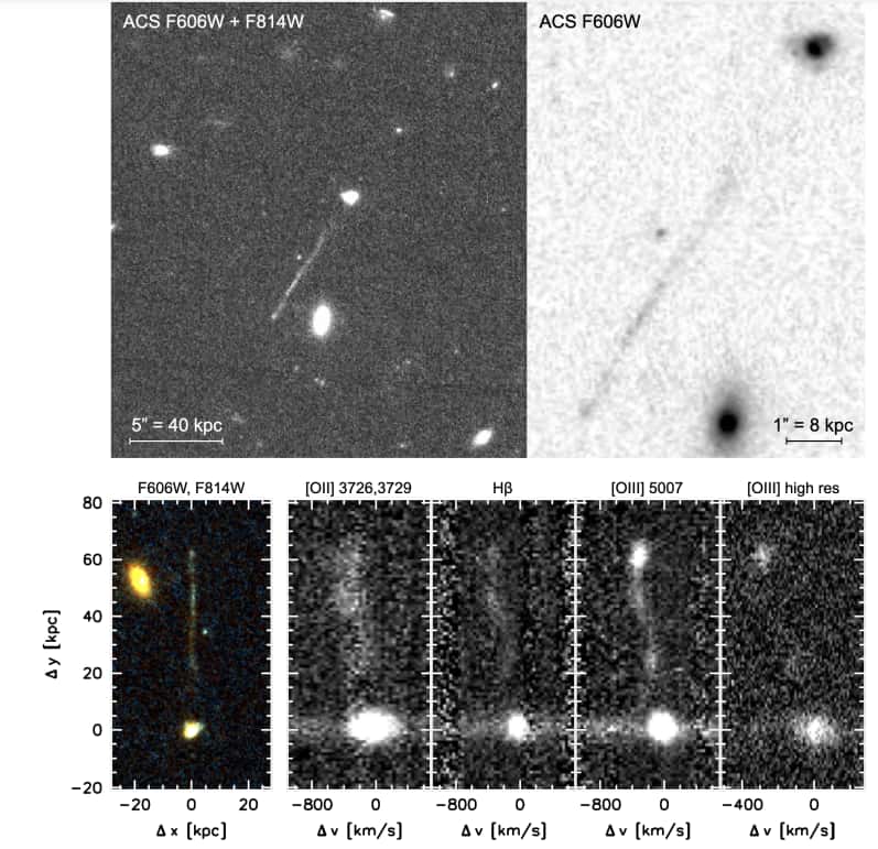 Des vues de la caractéristique observée par les chercheurs. En haut à droite, on peut voir que la ligne semble s'élargir en se rapprochant de la galaxie (en noir). En bas à gauche, un rendu en couleurs. En bas à droite, des spectres lumineux correspondant à différents éléments. Ils démontrent que le rapport [OIII]/Hβ varie de ~1 à ~10 le long de la caractéristique, indiquant un mélange de formation d'étoiles et de chocs rapides. © Van Dokkum et. al, 2023