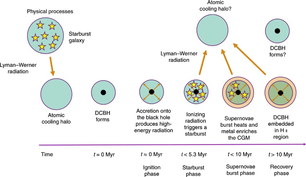Un schéma du scénario de formation directe de trou noir supermassif, voir les explications ci-dessous. © Nature Astronomy Kirk S Barrow