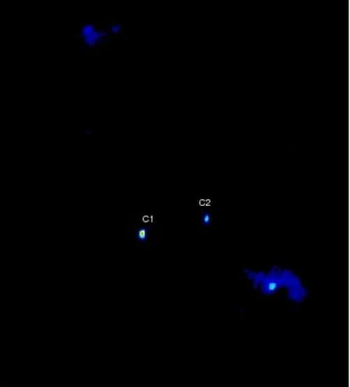 Sur cette image obtenue dans le domaine radio par le VLBA, apparaissent les deux trous noirs supermassifs, notés C1 et C2, accrétant de la matière, qu'ils chauffent et qui émet du rayonnement, visible à droite. © Bansal <em>et al.</em>, NRAO/AUI/NSF