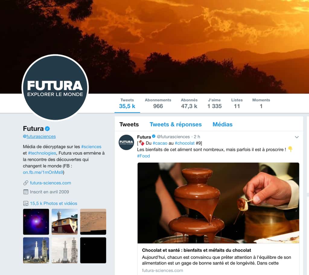 Le nom d’utilisateur (ici @futurasciences) peut différer ou pas du nom (Futura-Sciences). © Futura-Sciences