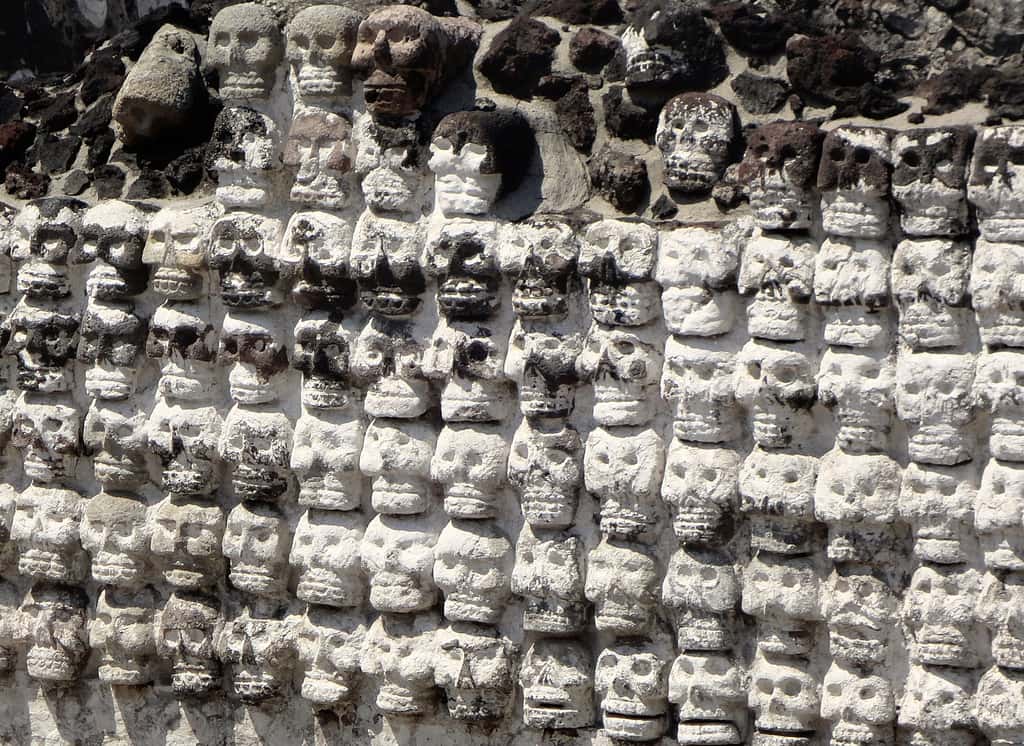 Sculpture de Tzompantli au Templo Mayor de Mexico. © Juan Carlos Fonseca Mata pour Wikimedia 