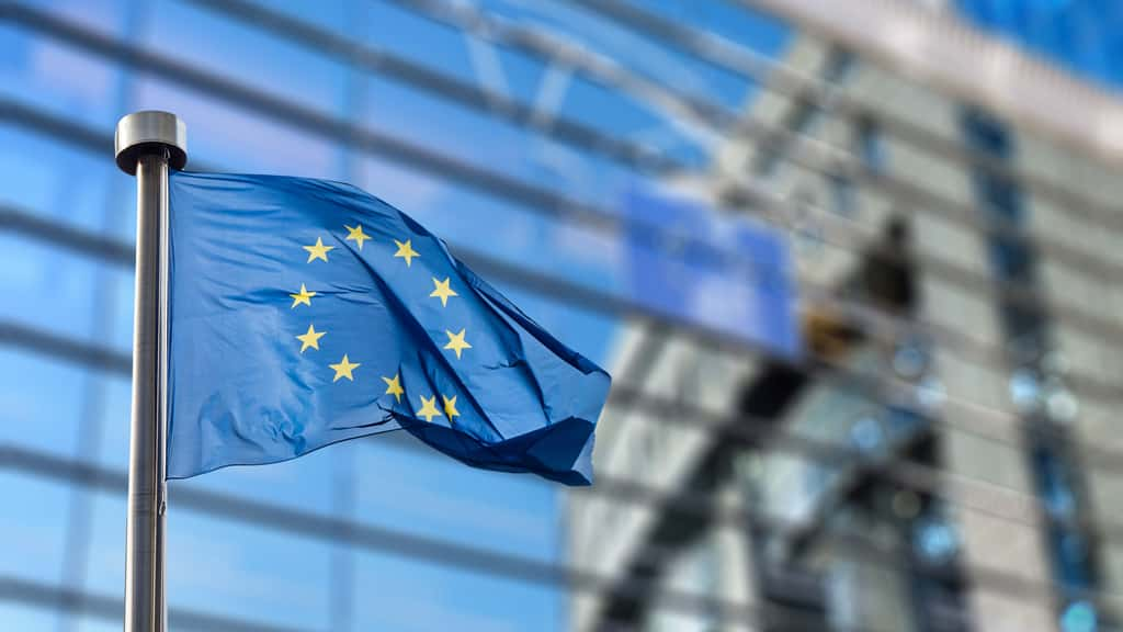 L’Union européenne va-t-elle aller jusqu’à modifier la convention de Berne pour déclasser le statut de protection du loup en Europe ? © Artjazz, Adobe Stock 