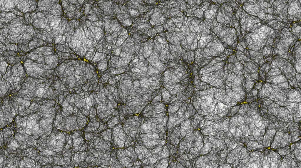 Un extrait du catalogue de grandes structures galactiques produites par la récente simulation record de l'univers. Des filaments où se concentrent matière noire et galaxies actuelles sont bien visibles sur cette image, dont la taille représente environ 2,5 milliards d'années-lumière. © Joachim Stadel