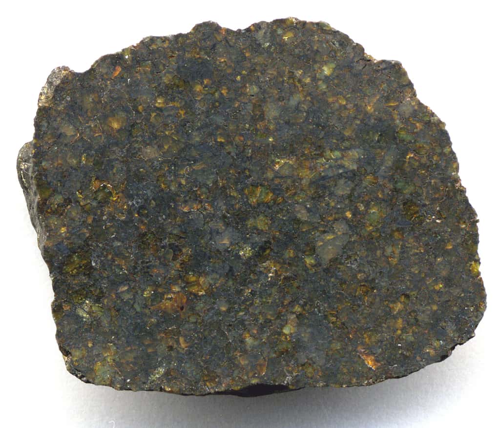 Fragment d'une uréilite, NWA 4231 (section polie, largeur = 2,9 cm). Les cristaux verdâtres ou orangés sont des olivines, et les cristaux très sombres des pyroxenes. © James St. John, <em>Wikimedia Commons</em>, CC by-sa 2.0 