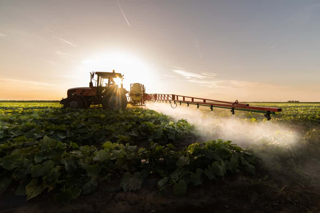 Et si l'urine humaine était le fertilisant idéal de demain ? © Dusan Kostic, Adobe Stock