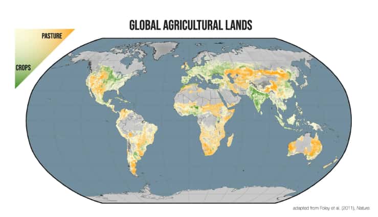La carte mondiale des terres de culture (en vert) et des pâturages (en orange). © Project Drawdown