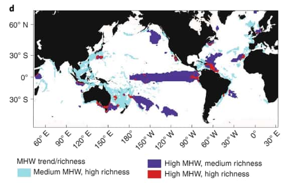 Hauts lieux de biodiversité pouvant être menacés par les vagues de chaleur marines. En bleu : canicules de moyenne intensité, biodiversité d'une richesse élevée. En violet : canicules de forte intensité, biodiversité d'une richesse moyenne. En rouge : canicules de forte intensité, biodiversité d'une richesse élevée. © Dan Smale <em>et al.</em>, <em>Nature Climate Change</em>, 2019