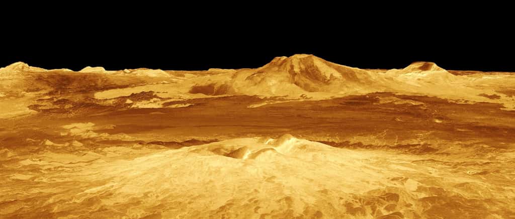 Cette image de Vénus a été obtenue à partir des données radar de la sonde Magellan. On y voit des édifices volcaniques. © Nasa