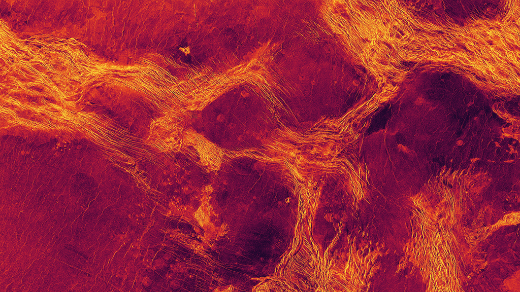 Une vue radar toujours en fausses couleurs de 1.100 km de large et montrant Lavinia Planitia, l'une des régions des plaines de Vénus où la lithosphère s'est fragmentée en blocs délimités par des ceintures de structures tectoniques (en jaune). © <em>NC State University, Nasa/JPL imagery</em>