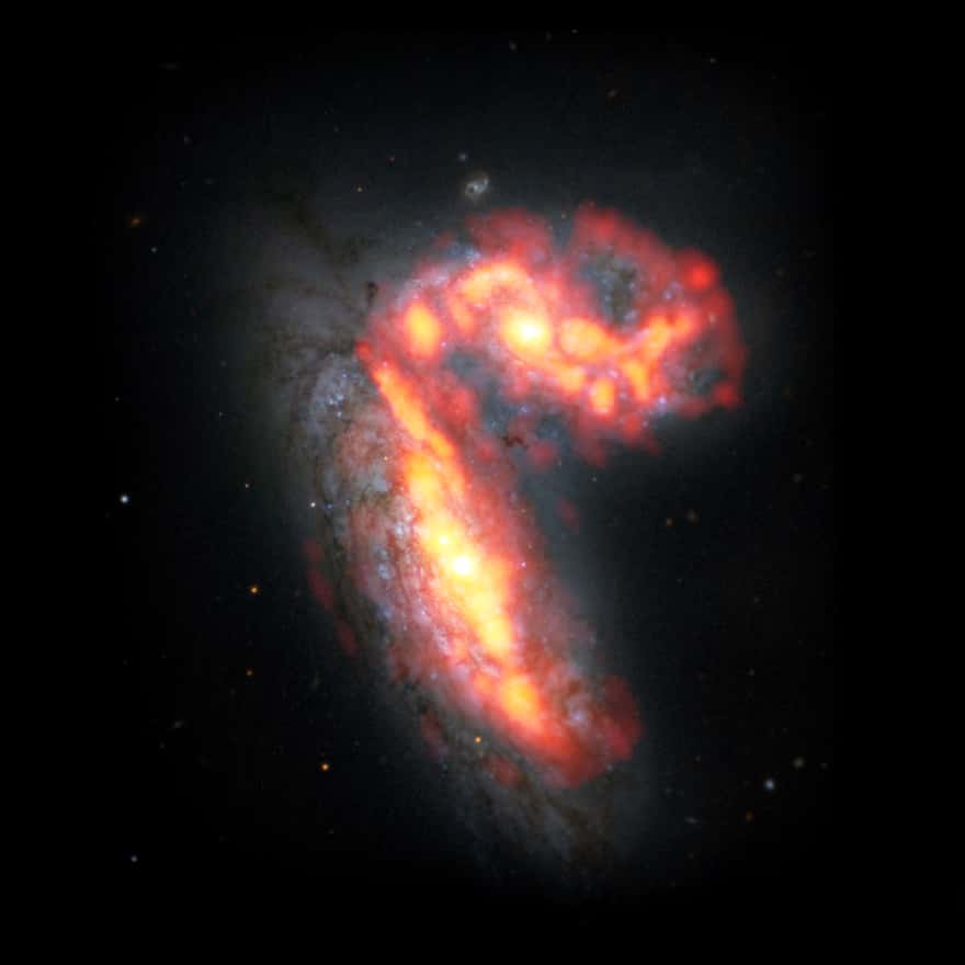 NGC 4567 et NGC 4568 sont deux galaxies parmi les quelque 2.000 de l'amas de la Vierge, qui se trouve à environ 65 millions d'années-lumière de nous. Les images de Vertico montrent nettement que ces deux galaxies font partie de celles qui subissent les processus extrêmes de dévitalisation. La photo est une image composite réalisée à partir des données millimétriques du radiotélescope Alma et du télescope spatial Hubble, où les poches de gaz moléculaire apparaissent en rouge/orange et les étoiles en blanc/bleu. © Alma (ESO/NAOJ/NRAO)/S. Dagnello (NRAO)